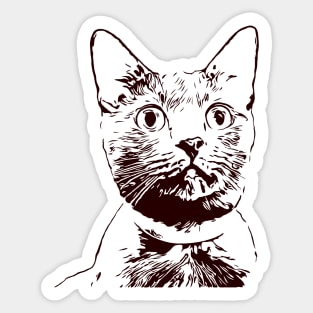 Black and White Cat Design Sticker